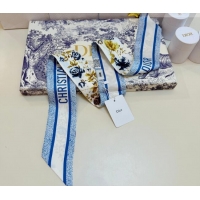 Top Quality Dior D-Millefiori Bandeau Silk Scarf 6x100cm DR010602 Blue 2026