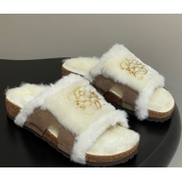Classic Practical Loewe Flat Slides Sandal in Suede and Wool 2026 LW103003 Beige