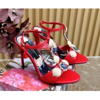 Most Popular Dolce &...