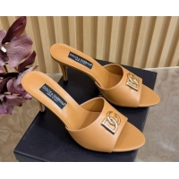 Good Quality Dolce &...