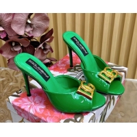 Luxury Dolce & Gabba...