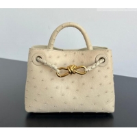 Market Sells Bottega Veneta Mini Andiamo Top Handle Bag in Ostrich Leather 805232 Pale Cream Yellow 2026