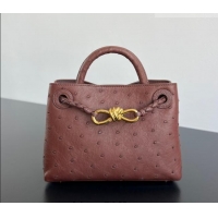Well Crafted Bottega Veneta Mini Andiamo Top Handle Bag in Ostrich Leather 805232 Sapele Red 2026