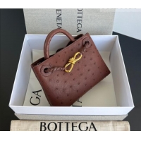 Well Crafted Bottega Veneta Mini Andiamo Top Handle Bag in Ostrich Leather 805232 Sapele Red 2026
