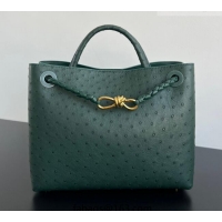 Best Price Bottega Veneta Medium Andiamo Top Handle Bag in Ostrich Leather 817805 Emerald Green 2026