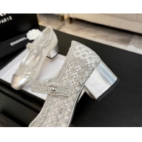 Luxury Chanel Mesh & Sequins Mary Janes Pumps CH122302 Silver 2026