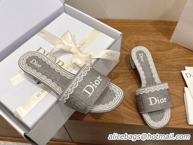 Sumptuous Dior Dentelle Heeled Slide Sandals in Grey Dior Oblique Embroidered Cotton and White Lace 6012220 2026