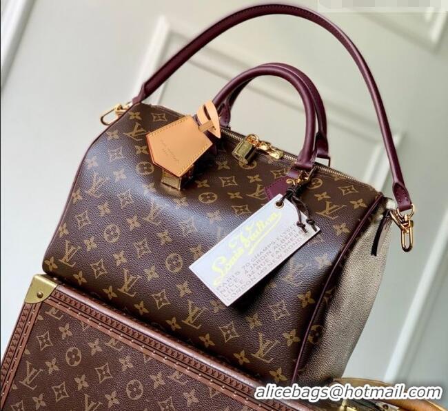 Good Quality Louis Vuitton Speedy 30 Soft Celebration Bag in Monogram Canvas M28379 2026