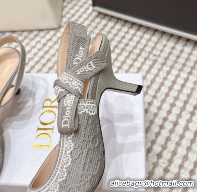 Purchase Dior J'Adior Pump 6.5cm Heel in Grey Dior Oblique Embroidered Cotton and White Lace 6012235 2026