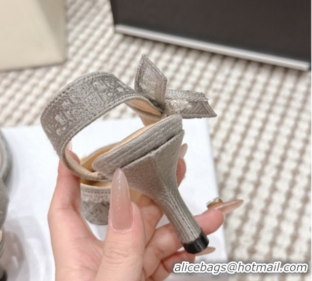 Purchase Dior J'Adior Pump 6.5cm Heel in Grey Dior Oblique Embroidered Cotton and White Lace 6012235 2026