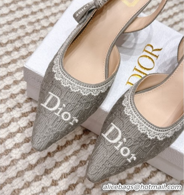 Purchase Dior J'Adior Pump 6.5cm Heel in Grey Dior Oblique Embroidered Cotton and White Lace 6012235 2026