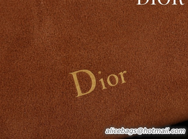 Sumptuous Dior Suede Small Shoulder Bag Caramel/Gold S1411 0124005 2026