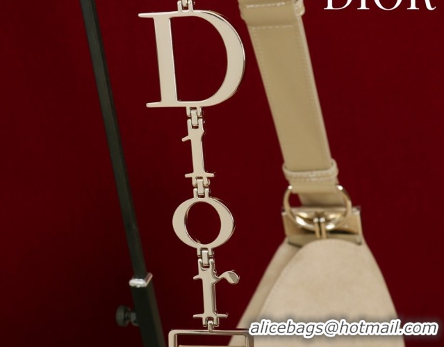 Shop Cheap Dior Suede Medium Shoulder Bag M14142 Beige/Gold 2026