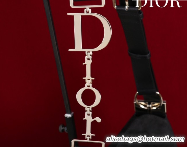 Best Grade Dior Suede Large Shoulder Bag L114144 Black/Gold 2026