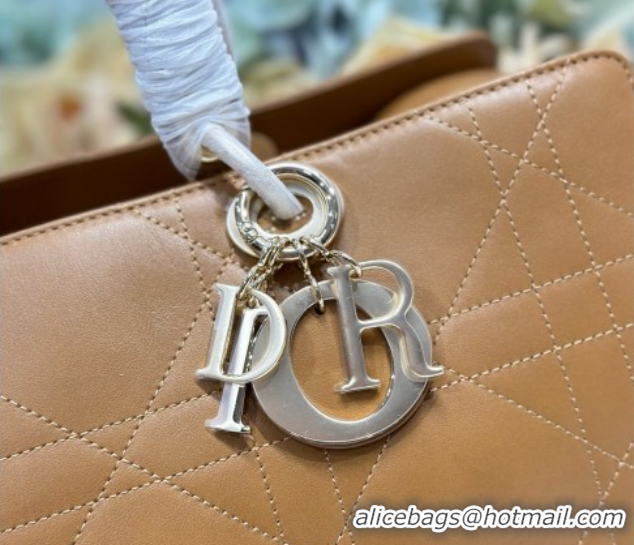 Top Design Dior Lady Dior Large Top Handle Bag in Cannage Smooth Apricot 1441L 2026