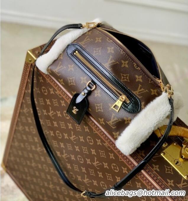 Promotional Louis Vuitton Teddy Mitt Bag in Monogram Canvas and Shearling M26853 2026