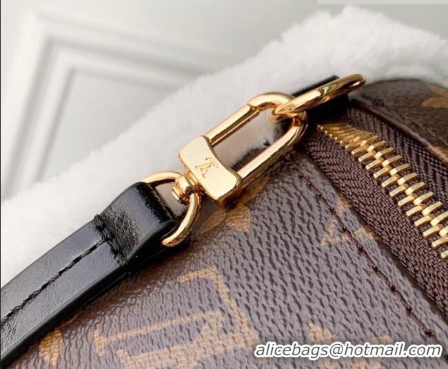 Promotional Louis Vuitton Teddy Mitt Bag in Monogram Canvas and Shearling M26853 2026