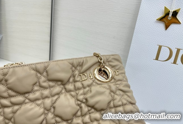 Good Looking Dior Cannage - Quilted Leather Tote Bag DR012601 Beige 2026