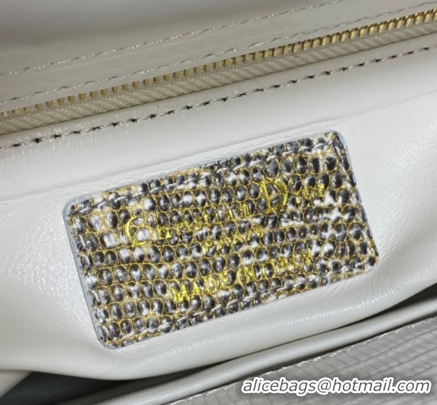 Good Looking Dior Small Lady Dior Bag in Lizard Embossed Leather DR012604 White/Grey 2026