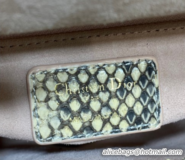 Stylish Dior Mini Lady Dior Bag in Lambskin and Snakeskin Leather DR012605 Pink 2026