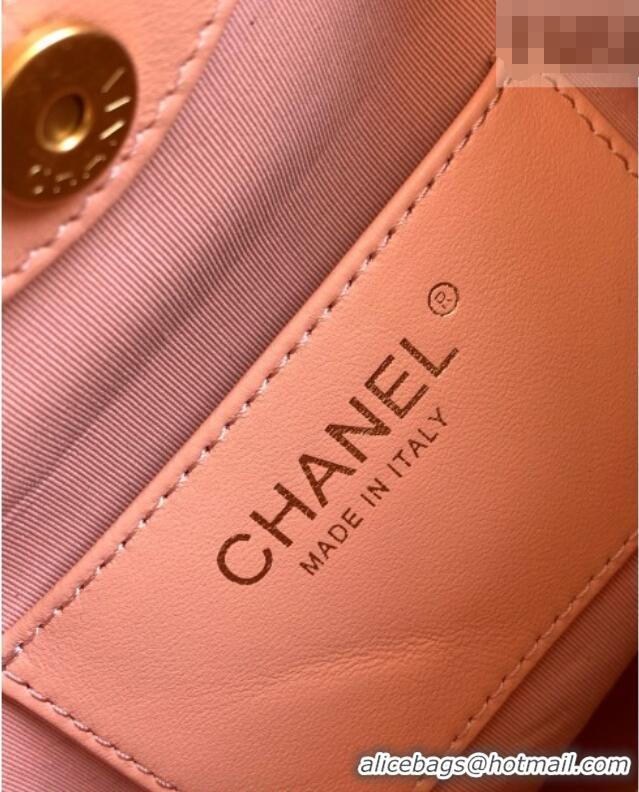 Good Quality Chanel Calfskin Leather & Turtoise-Shell Effect Top Handle Hobo Bag AS6010 Pink 2026