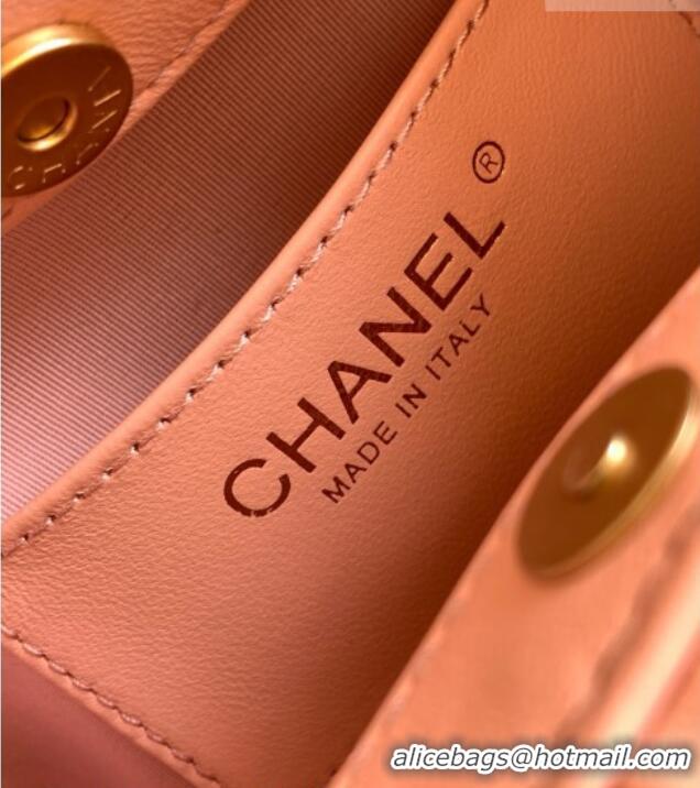 Trendy Design Chanel Calfskin Leather & Turtoise-Shell Effect Top Handle Small Hobo Bag AS6022 Pink 2026