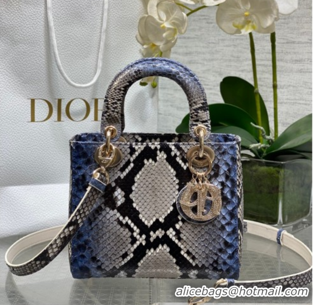 Hot Style Dior Small Lady Dior Bag in Snakeskin Leather DR012606 Grey/Blue 2026
