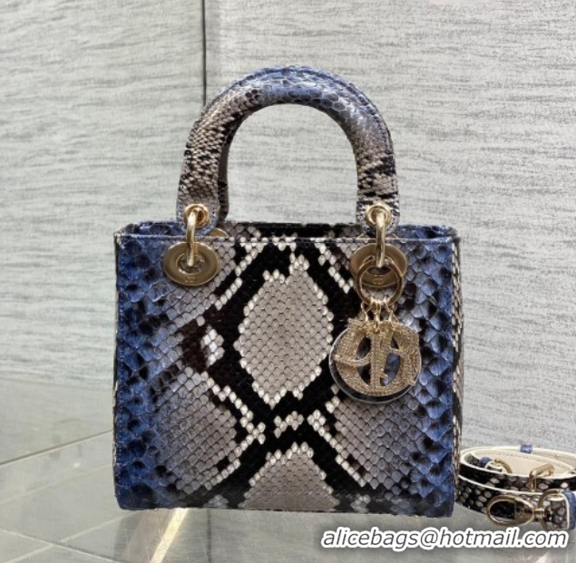 Hot Style Dior Small Lady Dior Bag in Snakeskin Leather DR012606 Grey/Blue 2026