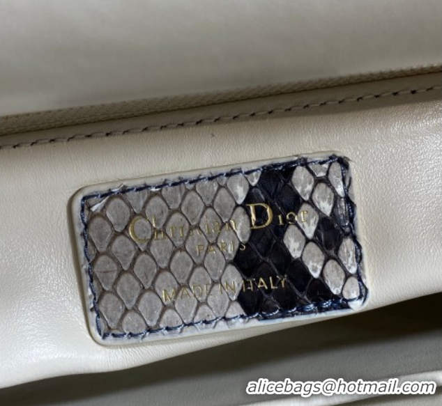 Hot Style Dior Small Lady Dior Bag in Snakeskin Leather DR012606 Grey/Blue 2026
