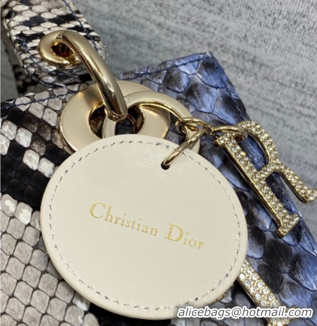 Hot Style Dior Small Lady Dior Bag in Snakeskin Leather DR012606 Grey/Blue 2026