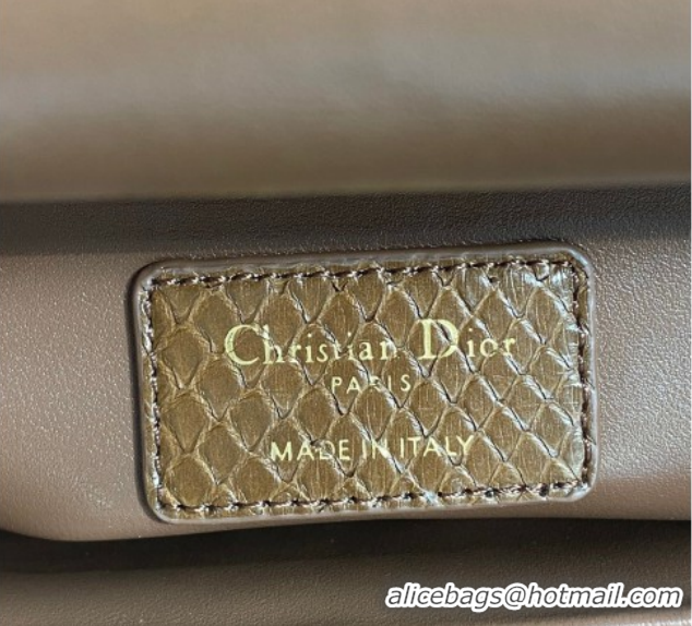 Best Price Dior Small Lady Dior Bag in Snakeskin Leather DR012606 Brown 2026