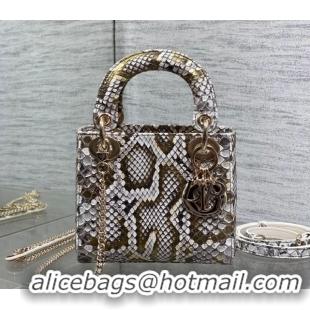 Top Grade Dior Mini Lady Dior Bag in Snakeskin Leather DR012606 Grey 2026
