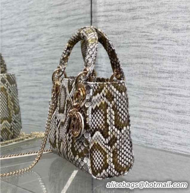 Top Grade Dior Mini Lady Dior Bag in Snakeskin Leather DR012606 Grey 2026