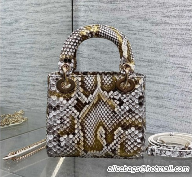 Top Grade Dior Mini Lady Dior Bag in Snakeskin Leather DR012606 Grey 2026