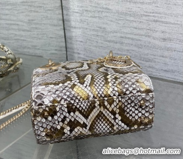 Top Grade Dior Mini Lady Dior Bag in Snakeskin Leather DR012606 Grey 2026