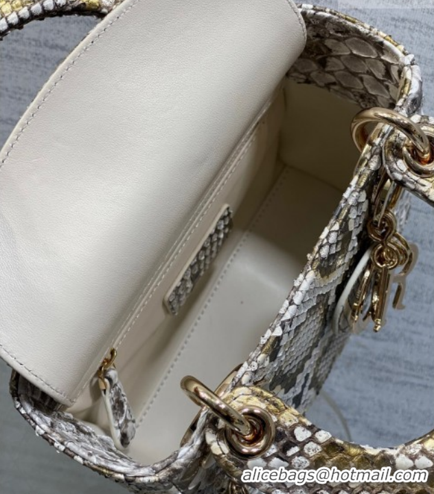 Top Grade Dior Mini Lady Dior Bag in Snakeskin Leather DR012606 Grey 2026