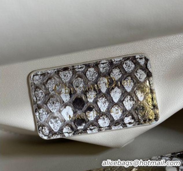 Top Grade Dior Mini Lady Dior Bag in Snakeskin Leather DR012606 Grey 2026