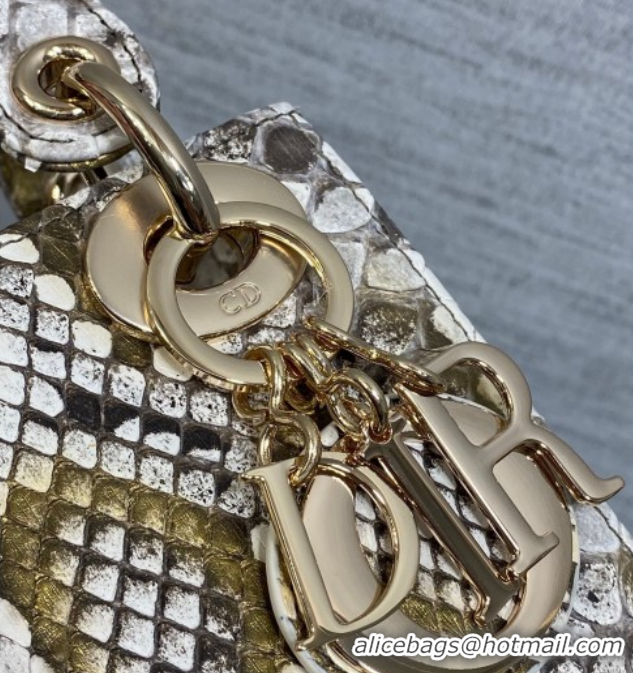 Top Grade Dior Mini Lady Dior Bag in Snakeskin Leather DR012606 Grey 2026