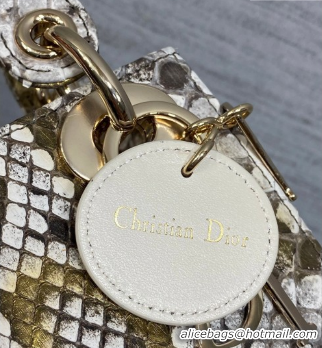 Top Grade Dior Mini Lady Dior Bag in Snakeskin Leather DR012606 Grey 2026