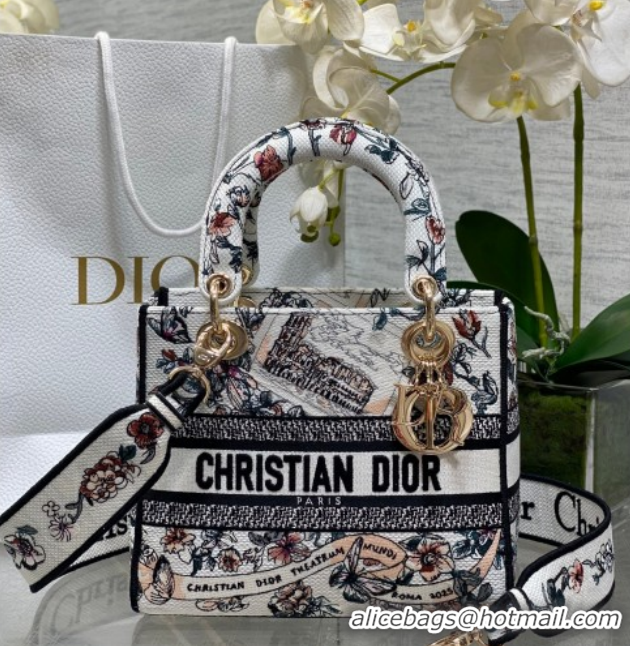 Good Quality Dior Medium Lady D-Lite Bag in Pink Souvenir de Rome Embroidery 0126064 2026