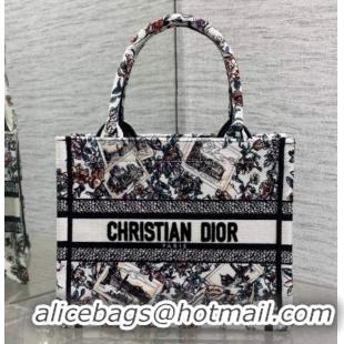 Best Grade Dior Small Book Tote Bag in Pink Souvenir de Rome Embroidery 60126075 2026