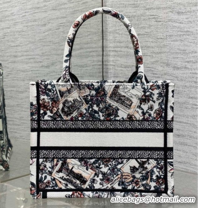 Best Grade Dior Small Book Tote Bag in Pink Souvenir de Rome Embroidery 60126075 2026