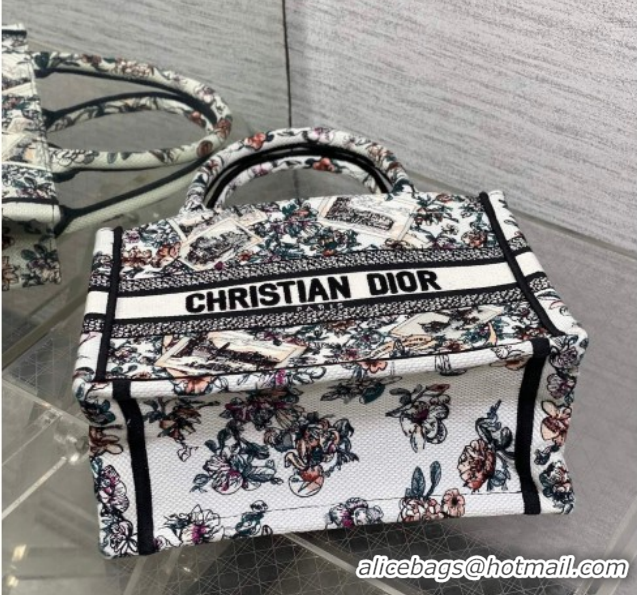 Best Grade Dior Small Book Tote Bag in Pink Souvenir de Rome Embroidery 60126075 2026