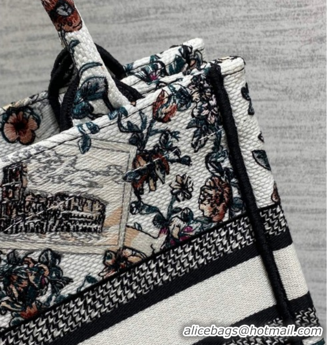 Best Grade Dior Small Book Tote Bag in Pink Souvenir de Rome Embroidery 60126075 2026