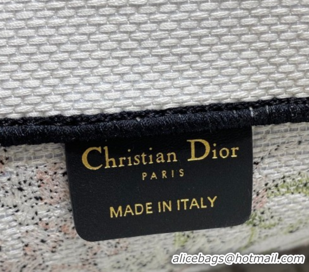 Pretty Style Dior Large Book Tote Bag in Pink Multicolor Millefiori Embroidery 60126076 2026