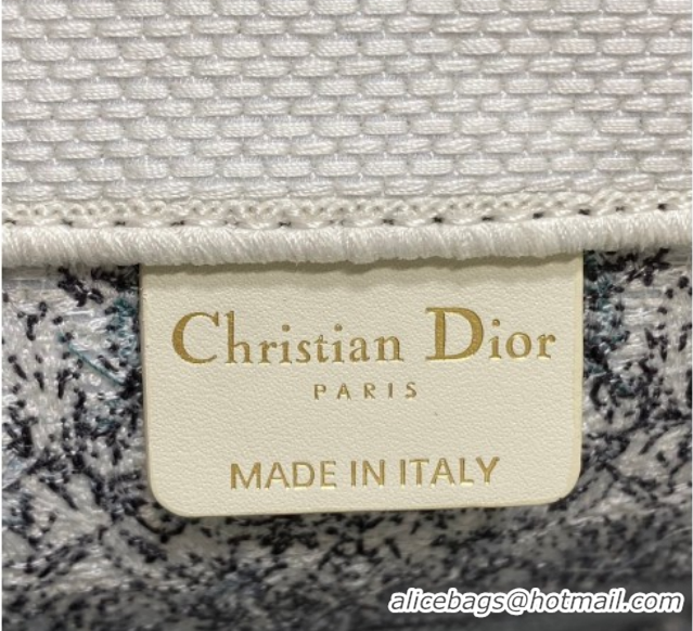 Cheap Price Dior Medium Book Tote Bag in Blue Dior Stella Baroque Embroidery 60126082 2026