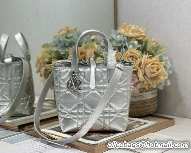 Hot Style Dior Small Toujours Vertical Tote Bag in Macrocannage Calfskin Silver-Tone 60126094 2026