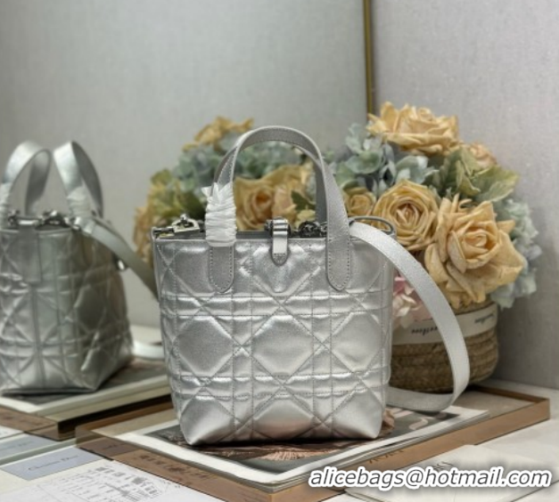 Hot Style Dior Small Toujours Vertical Tote Bag in Macrocannage Calfskin Silver-Tone 60126094 2026