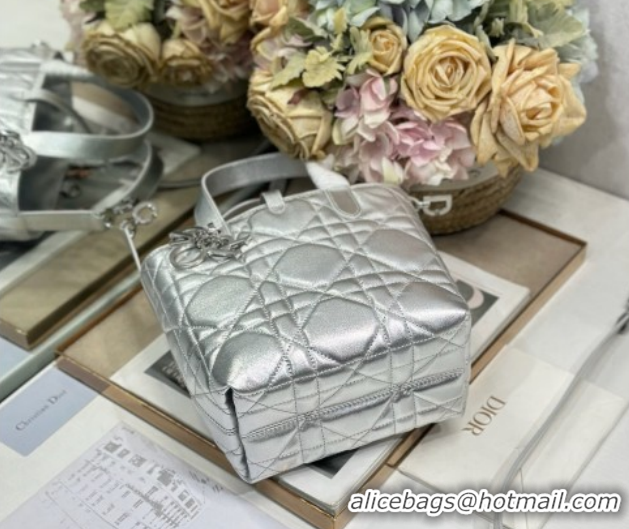 Hot Style Dior Small Toujours Vertical Tote Bag in Macrocannage Calfskin Silver-Tone 60126094 2026