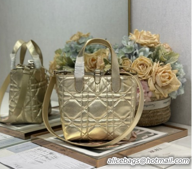 Good Product Dior Small Toujours Vertical Tote Bag in Macrocannage Calfskin Gold-Tone 0126095 2026